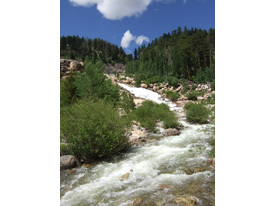 Photo Summer 2011 Rocky Mountain National Park in Estes Park, CO 4 (Iryna G., Ukraine)